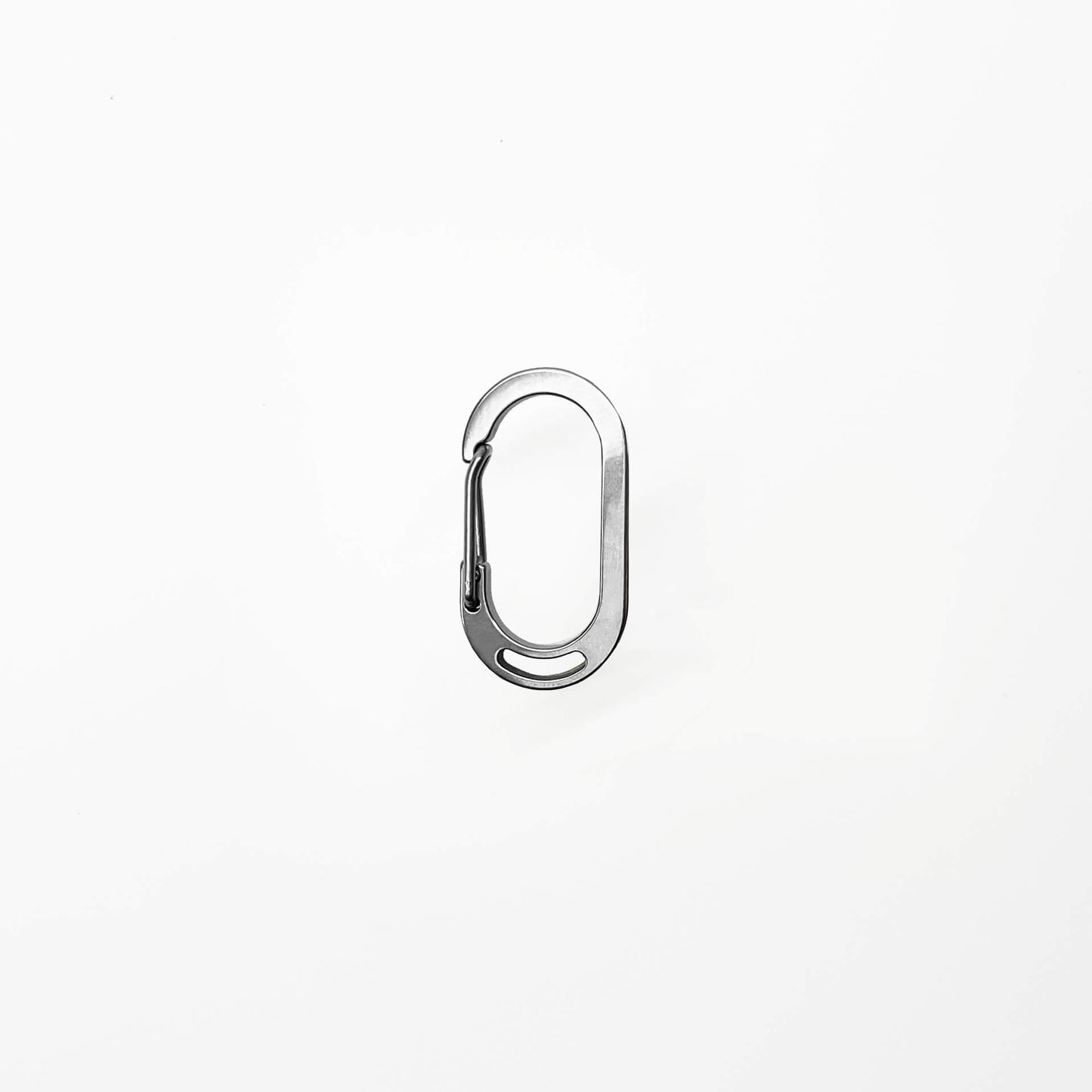 Stainless Steel Carabiner